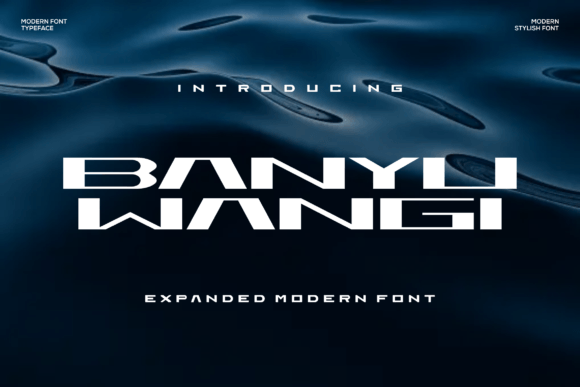 Banyu Wangi Font: Bold Type for Handmade Labels