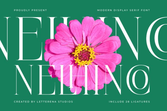 Nelhinco Font Review: Elevating Small Business Branding